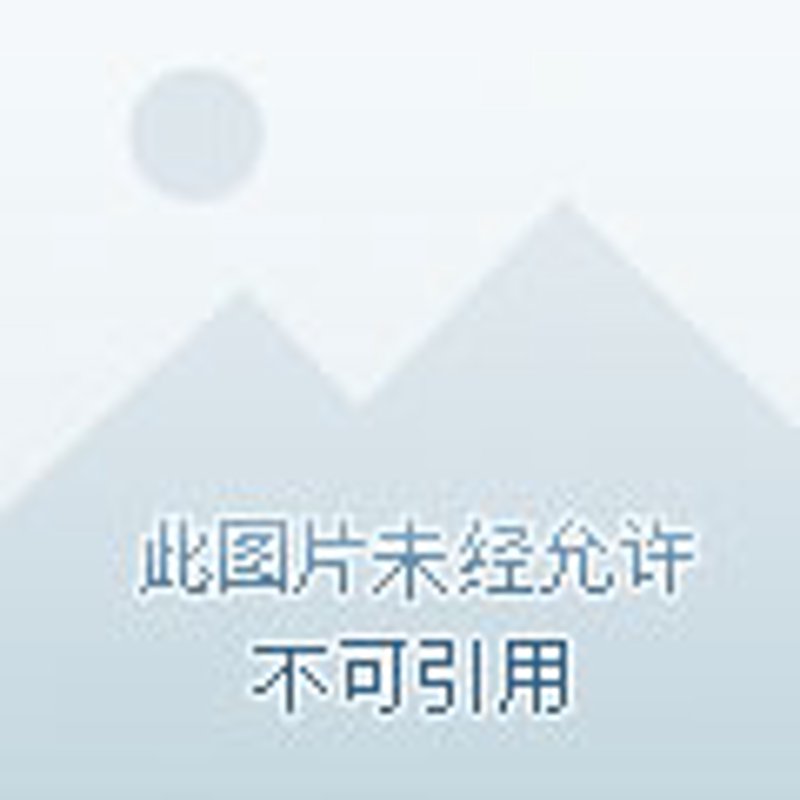 绿色科技引领未来：环保科技公司在行动
